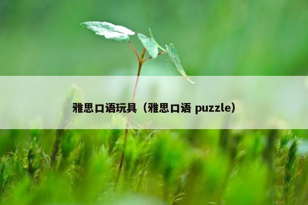 雅思口语玩具（雅思口语 puzzle）
