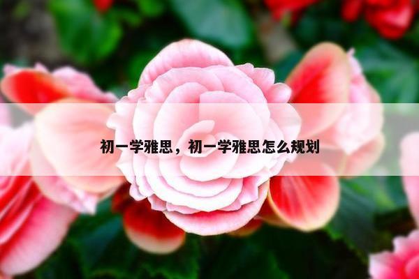 初一学雅思，初一学雅思怎么规划