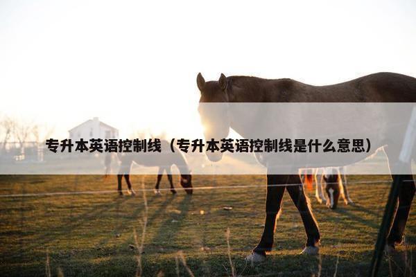 专升本英语控制线（专升本英语控制线是什么意思）