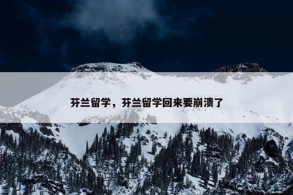 芬兰留学，芬兰留学回来要崩溃了