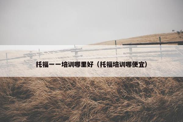 托福一一培训哪里好（托福培训哪便宜）
