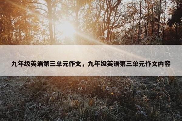 九年级英语第三单元作文，九年级英语第三单元作文内容