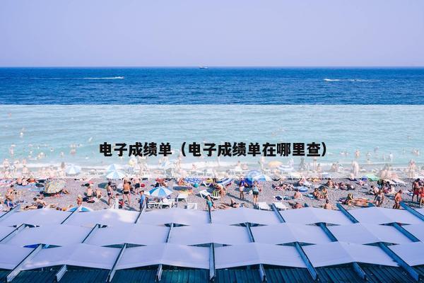 电子成绩单(电子成绩单在哪里查) 电子成绩单(电子成绩单在哪里查)