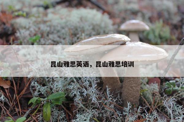 昆山雅思英语，昆山雅思培训