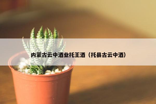 内蒙古云中酒业托王酒(托县古云中酒) 内蒙古云中酒业托王酒(托县古云中酒)
