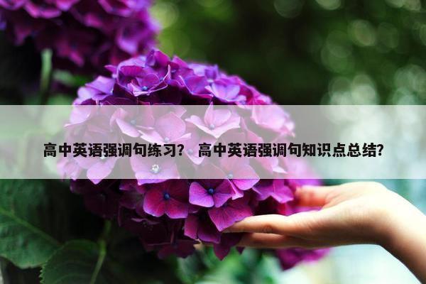 高中英语强调句练习？ 高中英语强调句知识点总结？
