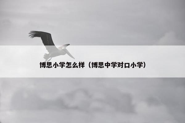 博思小学怎么样(博思中学对口小学) 博思小学怎么样(博思中学对口小学)