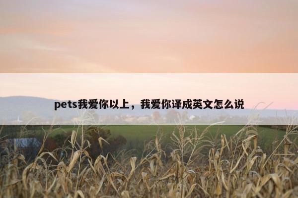 pets我爱你以上，我爱你译成英文怎么说
