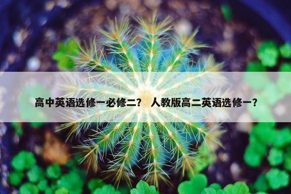 高中英语选修一必修二？ 人教版高二英语选修一？