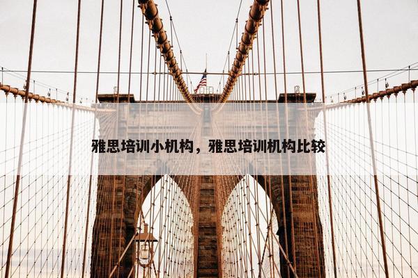 雅思培训小机构，雅思培训机构比较