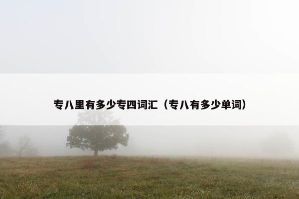 专八里有多少专四词汇（专八有多少单词）