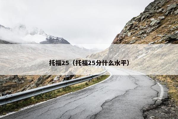 托福25（托福25分什么水平）