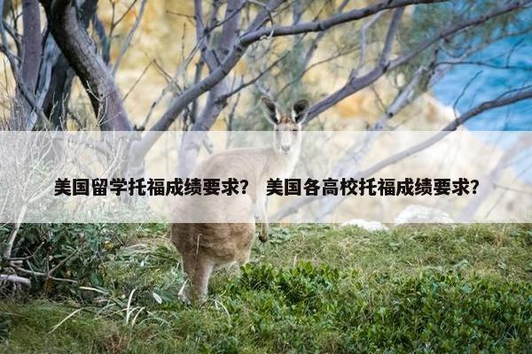 美国留学托福成绩要求？ 美国各高校托福成绩要求？