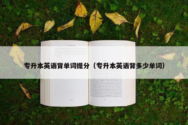 专升本英语背单词提分（专升本英语背多少单词）