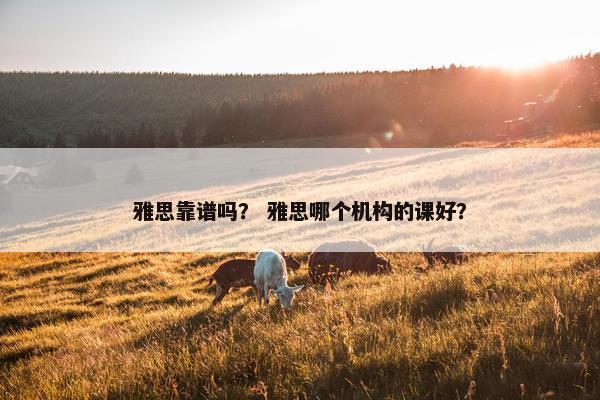 雅思靠谱吗？ 雅思哪个机构的课好？