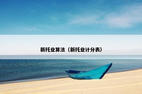 新托业算法（新托业计分表）
