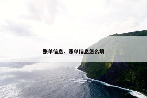 账单信息，账单信息怎么填