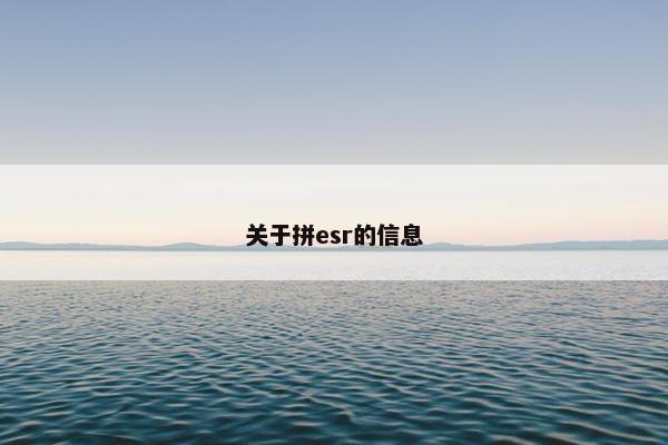 关于拼esr的信息