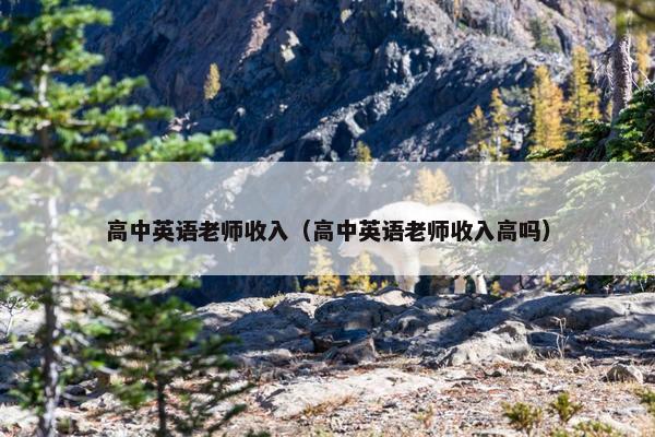 高中英语老师收入（高中英语老师收入高吗）