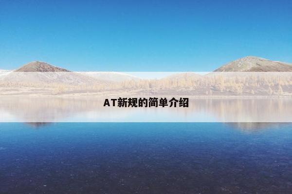 AT新规的简单介绍