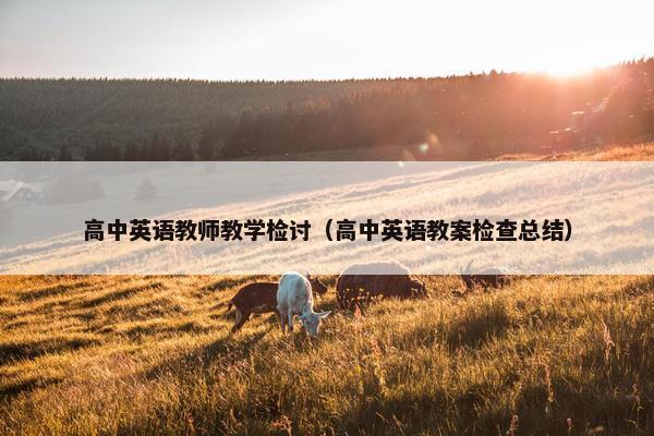 高中英语教师教学检讨（高中英语教案检查总结）