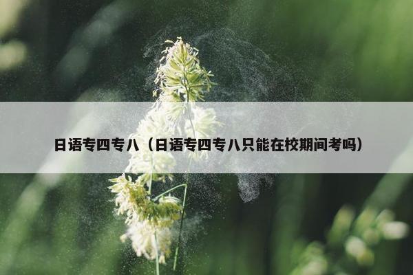 日语专四专八（日语专四专八只能在校期间考吗）