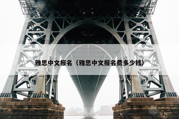 雅思中文报名（雅思中文报名费多少钱）