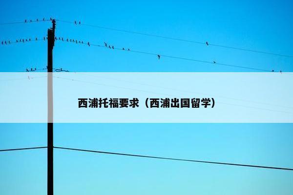 西浦托福要求（西浦出国留学）