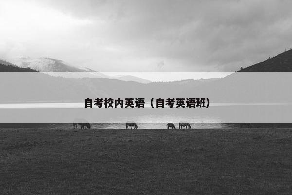 自考校内英语（自考英语班）