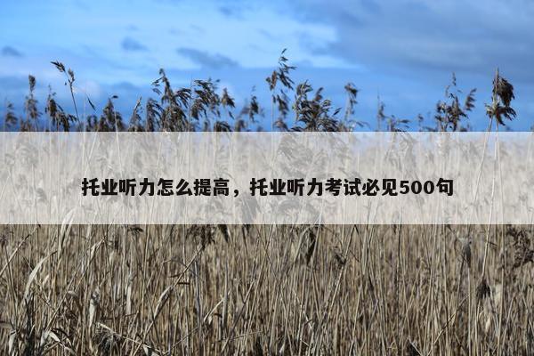 托业听力怎么提高，托业听力考试必见500句