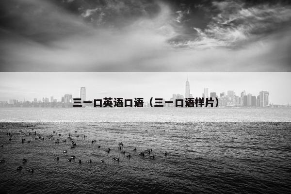 三一口英语口语（三一口语样片）
