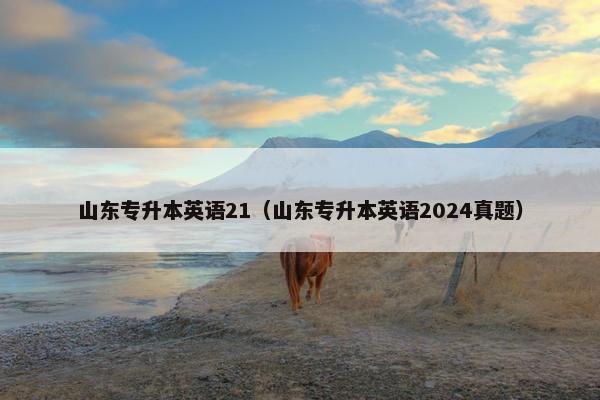 山东专升本英语21（山东专升本英语2024真题）