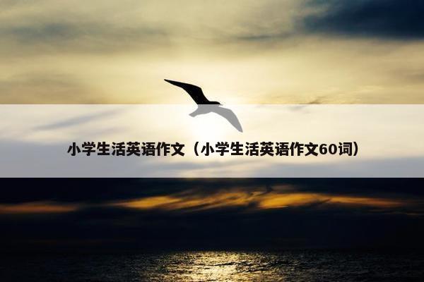 小学生活英语作文（小学生活英语作文60词）