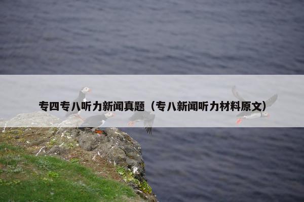 专四专八听力新闻真题（专八新闻听力材料原文）
