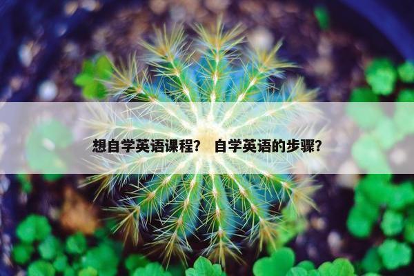 想自学英语课程？ 自学英语的步骤？