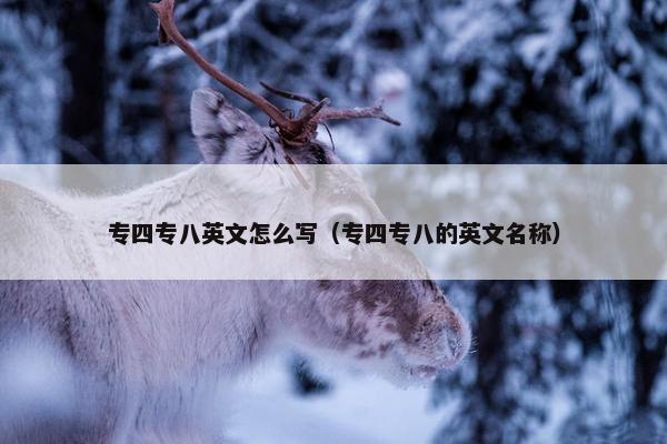 专四专八英文怎么写（专四专八的英文名称）