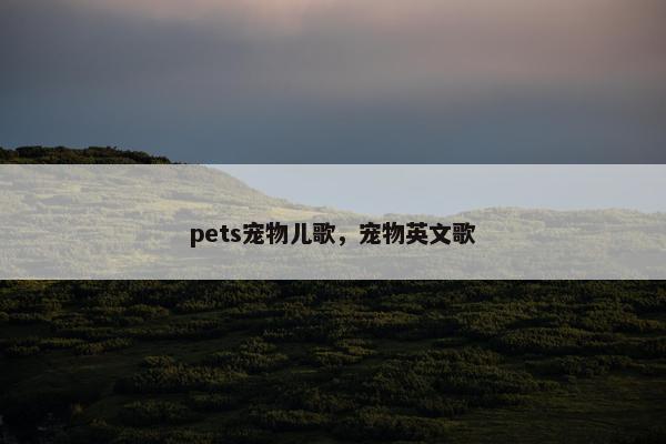 pets宠物儿歌，宠物英文歌
