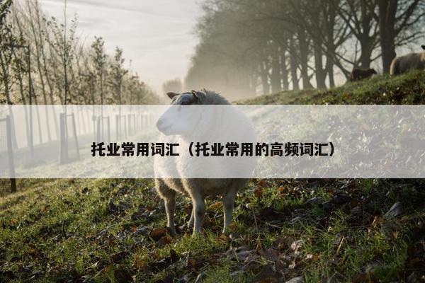 托业常用词汇（托业常用的高频词汇）