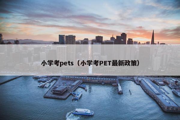 小学考pets（小学考PET最新政策）