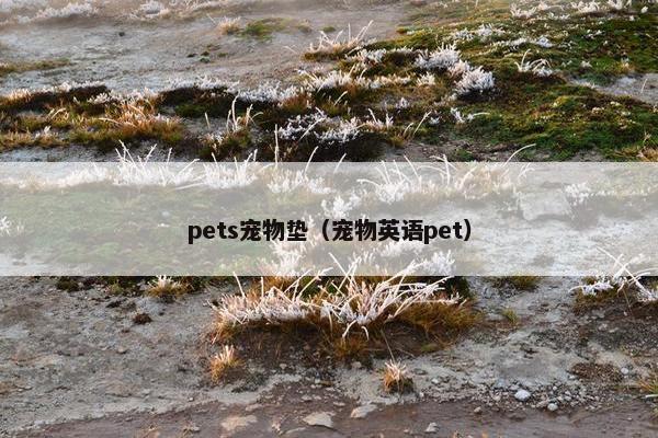 pets宠物垫（宠物英语pet）