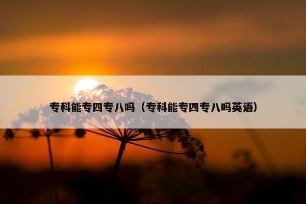 专科能专四专八吗（专科能专四专八吗英语）