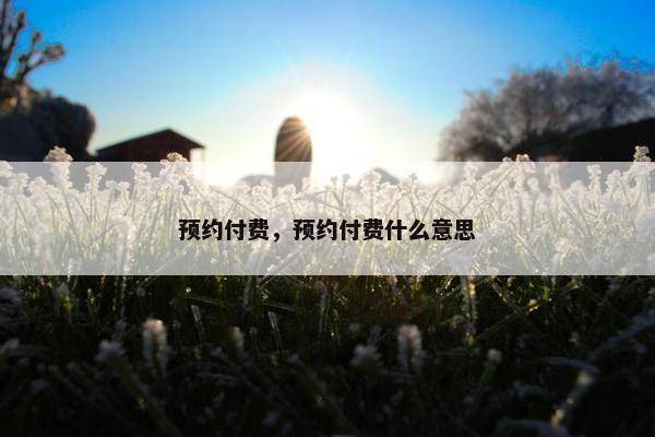 预约付费，预约付费什么意思