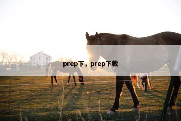 prep下，prep下载