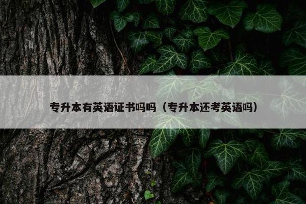专升本有英语证书吗吗（专升本还考英语吗）