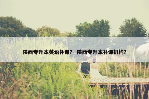 陕西专升本英语补课？ 陕西专升本补课机构？