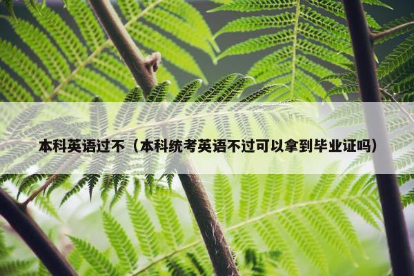 本科英语过不（本科统考英语不过可以拿到毕业证吗）