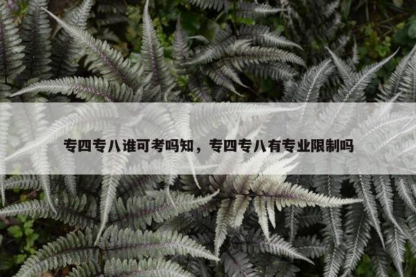 专四专八谁可考吗知，专四专八有专业限制吗