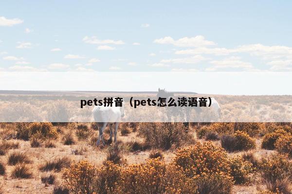 pets拼音（pets怎么读语音）
