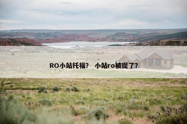 RO小站托福？ 小站ro被捉了？