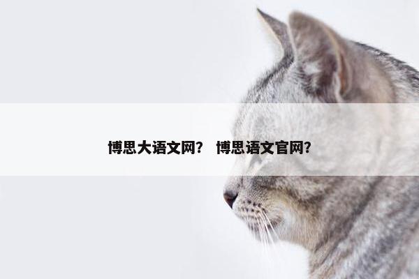 博思大语文网？ 博思语文官网？